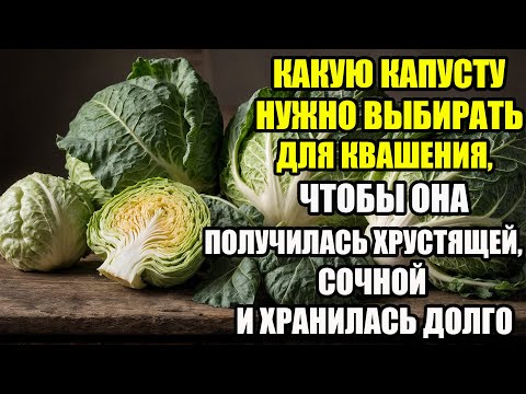 Видео: Какую капусту лучше оставлять для квашения — советы опытных огородников