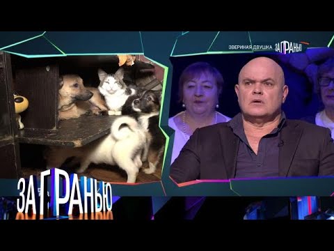 Видео: За гранью 2025 | «Звериная двушка »  Full HD