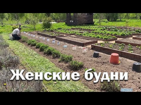 Видео: Женские будни // Навожу порядок // Экскурсия по огороду