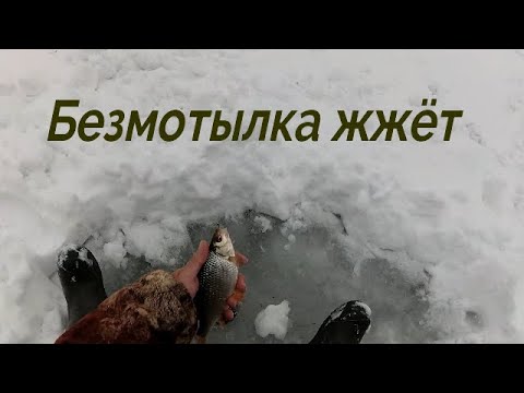 Видео: БЕШЕНЫЙ КЛЕВ ЧЕБАКА  НА БЕЗМОТЫЛКУ.  Белоярское вдхр.