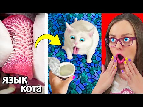 Видео: ПОПРОБУЙ НЕ СКАЗАТЬ ВАУ ЧЕЛЛЕНДЖ – НЕРЕАЛЬНО! Смотрю видео ИЗ TIKTOK и LIKEE