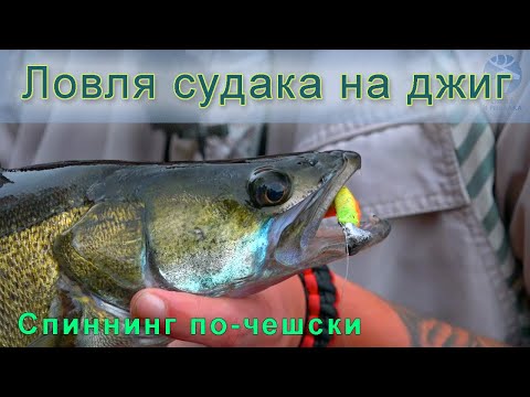 Видео: СУДАК: Ловля на джиг на водохранилище / Рыбалка в Чехии / Как ловить судака