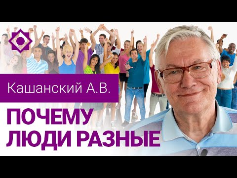 Видео: Кашанский А.В. «Почему люди разные (Лебедь, рак и щука)»