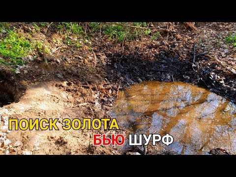 Видео: ПОИСК ЗОЛОТА (ЯМЫ ШУРФЫ)