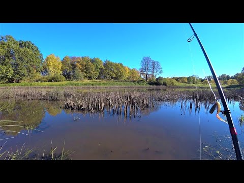 Видео: Перевірив Чи Клює Щука Окунь На Озерах. Риболовля на Спінінг