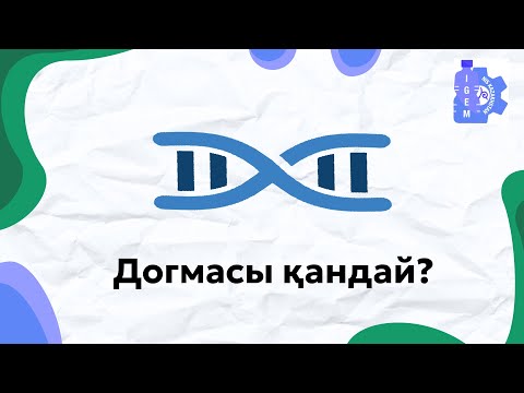 Видео: Молекулалық биологияның орталық догмасы қандай?