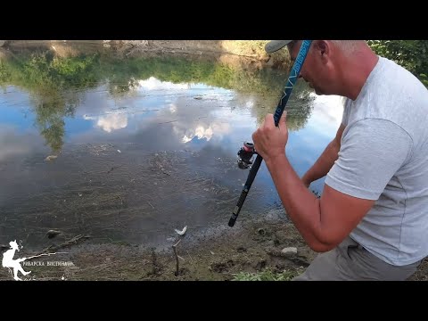 Видео: Бојник на Црн Дрим на 41 степен. #рибарскавистина #fishing #pecanje