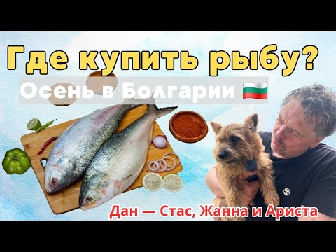 Видео: Болгария. Рыбный рынок в Каварне. Осень 2025.