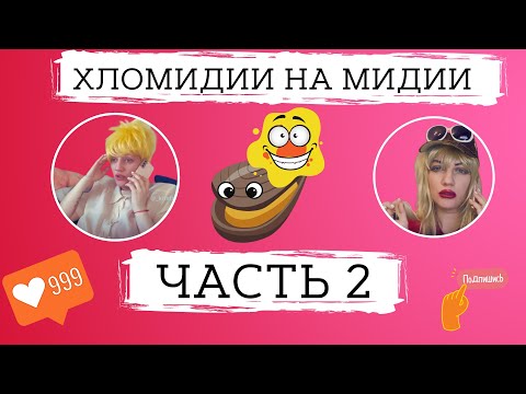 Видео: хломидии на мидии