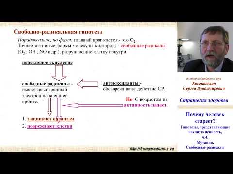 Видео: 3.2 Почему человек стареет?  Наука 4.  Мутации.  Антиоксиданты