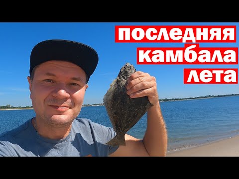 Видео: Рыбалка близ Нью-Йорка. Летняя камбала всё?