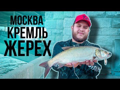 Видео: Москва / Кремль / Жерех