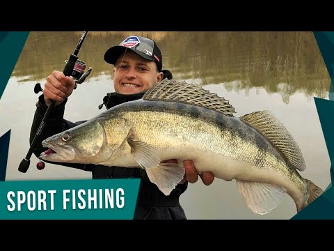 Видео: ХИТРОСТИ и ОСОБЕННОСТИ ловли СУДАКА на джиг! Простая проводка на судака!