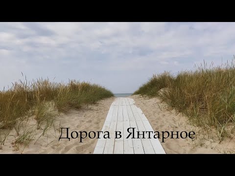 Видео: Дорога к морю...Янтарное