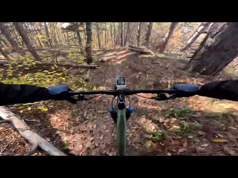 Видео: Сращах ли ПЕСА на Брезите ?