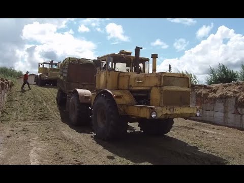 Видео: К700А, К701, УРАЛ и КАМАЗ На заготовке сенажа!