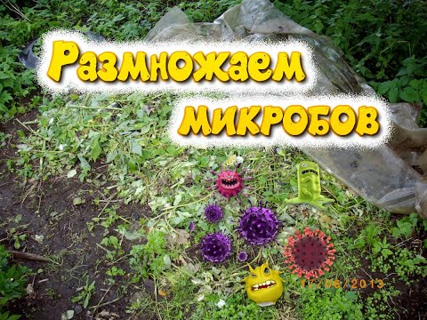 Видео: Размножаем микробов. Увеличиваем численность почвенных бактерий на грядках.