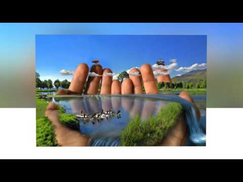 Видео: Экология және тұрақты даму