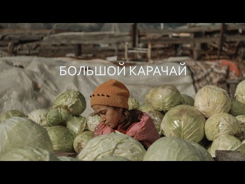Видео: БОЛЬШОЙ КАРАЧАЙ