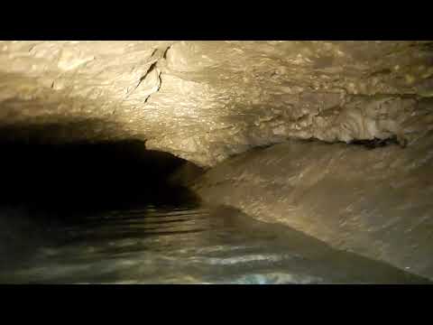 Видео: васильки без баллонов
