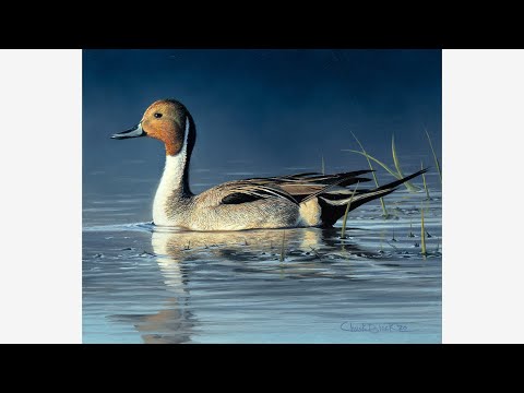 Видео: ЖИВОПИСЬ МАСЛОМ — Реалистичные детали, Открытие новых техник, Искусство дикой природы