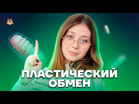Видео: Пластический обмен | Биология ЕГЭ для 10 класса | Умскул
