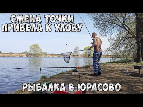 Видео: 2-й День. Смена точки привела к улову! Рыбалка на фидер в Юрасово. Река Москва