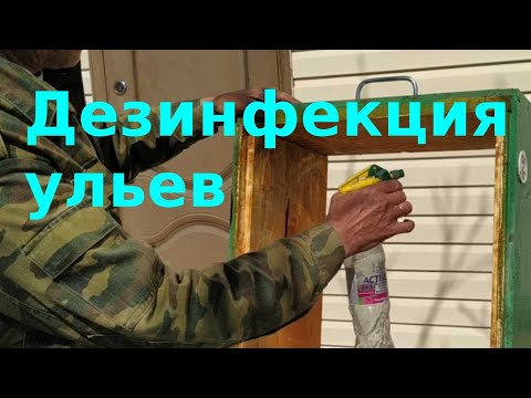 Видео: Дезинфекция ульев