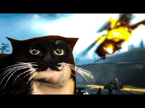 Видео: Half-Life 2, но у меня есть кот 2