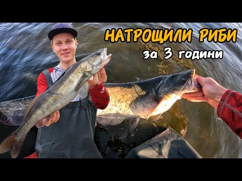 Видео: Наловили за Вечір! Результативна риболовля на Дніпрі