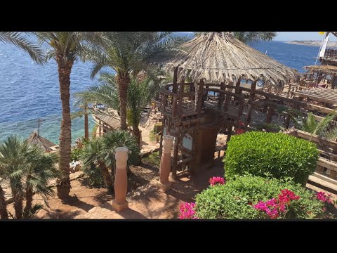 Видео: 🇪🇬СПЕШИТЕ, ПОКА ВЫГОДНО / GOLF BEACH RESORT 5* / RIXOS НА МИНИМАЛКАХ В ШАРМЕ /