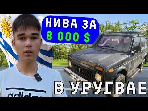 Видео: Сколько стоит авто в Уругвае: Обзор цен на популярные машины 