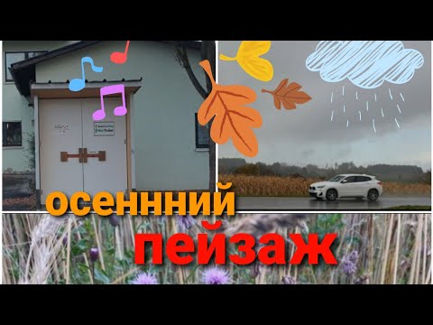 Видео: КИОСК ДЛЯ МАЛОИМУЩИХ В ГЕРМАНИИ 🇩🇪ДОМАШНЕЕ ТОПЛЁНОЕ МАСЛО 👩‍🍳