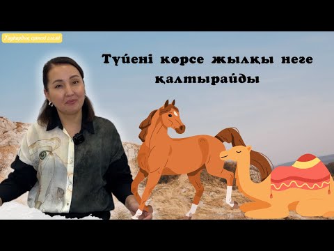 Видео: Түйені көрсе жылқы неге қалтырайды  - Гауһардың Ертегі Әлемі -