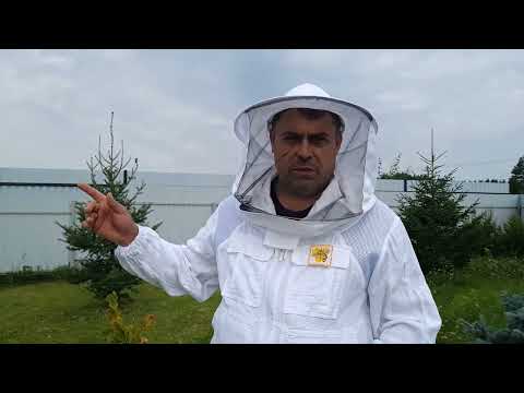 Видео: Сокращение гнезд пчел в зиму 2023 г.