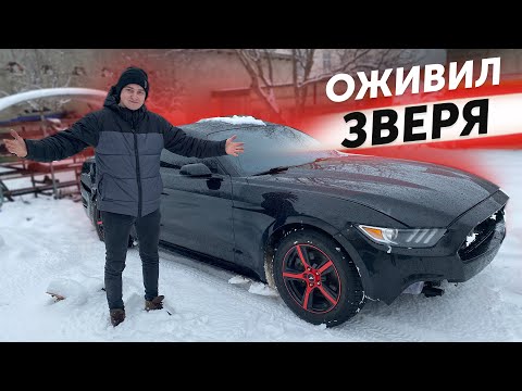 Видео: МОЙ НОВЫЙ БИТЫЙ МУСТАНГ **ТЕПЕРЬ НА ХОДУ! **