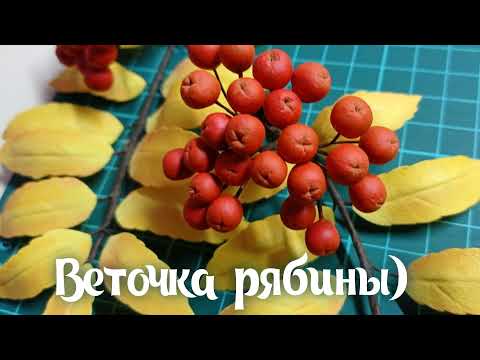 Видео: Веточка рябины)