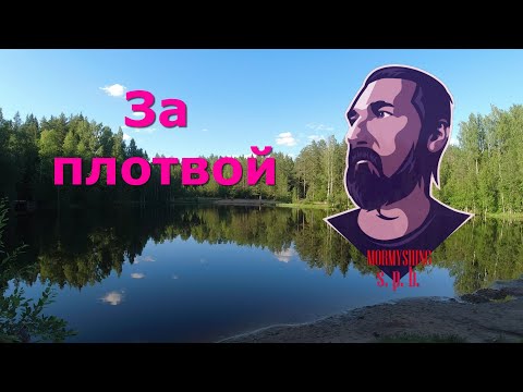 Видео: #357 #Мормышинг | Стеклянный тревел от sheffrods | За плотвой на пруд |