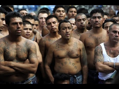 Видео: БОЕВОЙ СТИЛЬ АМЕРИКАНСКИХ ЗЕКОВ - ЖЕСТКИЙ ВХОД С ЛОКТЕЙ