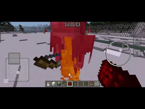 Видео: 5 ноября 2025 г.