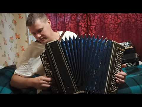 Видео: Ты неси меня река на баяне