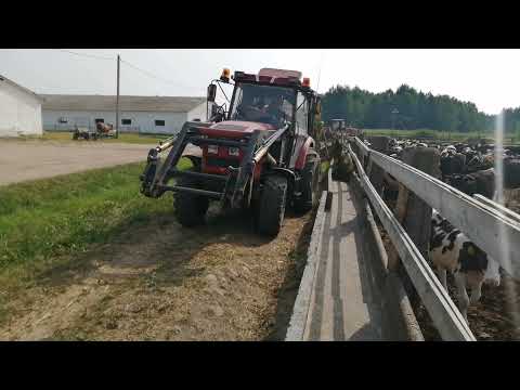 Видео: "Первый Белорусский".МТЗ-921.3. Раздача кормов!!! 🇧🇾