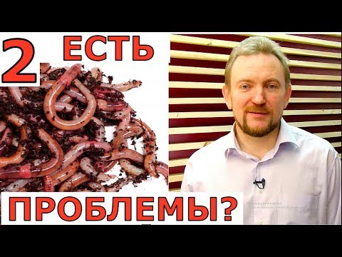Видео: ПРОБЛЕМЫ и их РЕШЕНИЕ при выращивании червей дома