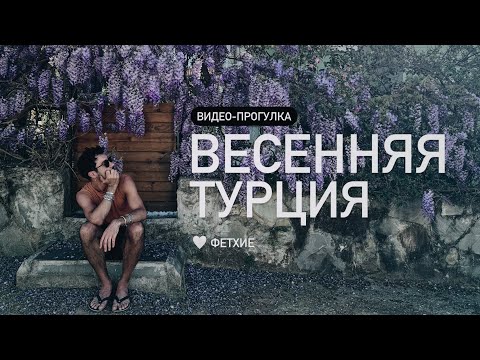 Видео: Обзор цветущих растений в Турции в начале апреля.