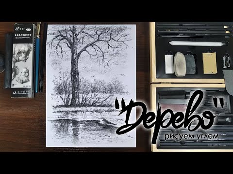 Видео: Рисуем УГЛЕМ ДЕРЕВО и ОТРАЖЕНИЕ в ВОДЕ | ПРОСТОЙ ПЕЙЗАЖ УГЛЕМ | CHARCOAL LANDSCAPE