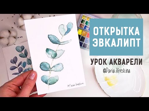 Видео: Как нарисовать эвкалипт. Урок акварели. Открытка с эвкалиптом