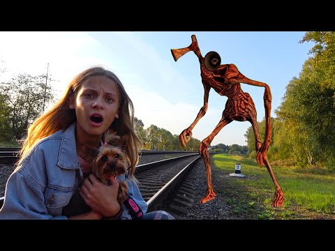 Видео: СИРЕНОГОЛОВЫЙ ПРЕСЛЕДУЕТ СОБАКУ Леры. Siren head in Crazy life.