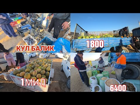 Видео: КУЛ БАЛИК КОВУН ВА ЕМ ХАШАК НАРХЛАРИ ЭЛЛИККАЛА БУСТОН