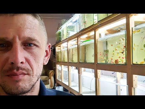 Видео: Почему не появилась инфузория в банке? Нет стабильности, но работать будем