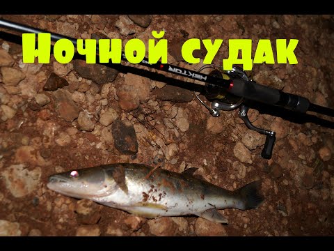 Видео: Ловля ночного судака